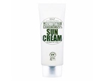 Derma Factory Houttuynia Cordata 65% Sun Cream Солнцезащитный крем с экстрактом цветка хауттюйнии 50 мл 4161